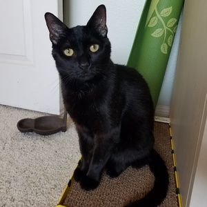 Meet your Posher, Kassia